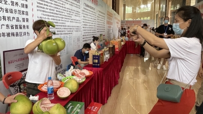 直播+现场带货！网红主播拍了拍你，快买“梅州柚”啦！