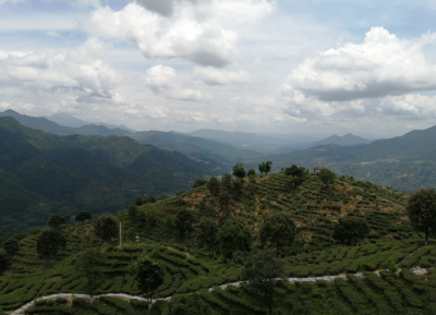 丰顺县驻龙岗镇乡村振兴工作队：深入镇村调研  共谋振兴发展