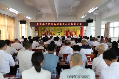 中国共产党汤南镇第十八次代表大会召开 