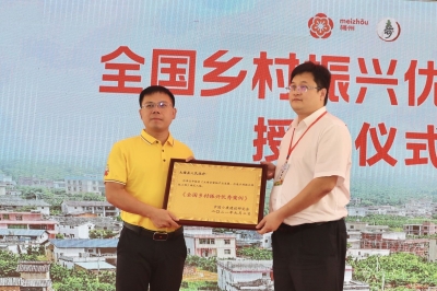 点赞！大埔被授予《全国乡村振兴优秀案例》