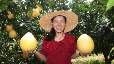 致富“柚”声“柚”色，生活“柚”甜“柚”乐~