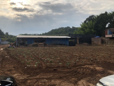 五华县迅速查办中央环保督察组交办案件：对问题不遮掩 全力抓好整改