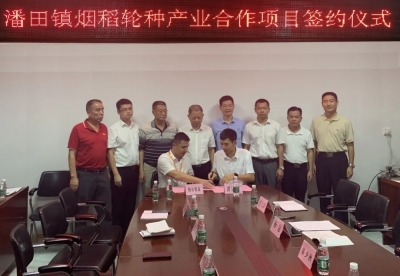 卢辞率队到丰顺县调研对口帮扶和驻镇帮镇扶村工作