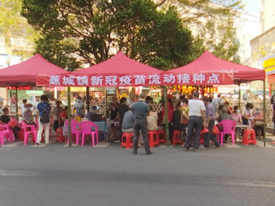 送“苗”上门暖人心！蕉岭县蕉城镇这波操作获市民点赞