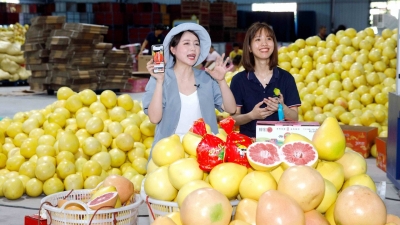 梅州举办粤港澳大湾区“菜篮子”产品梅州配送中心梅州柚直播推广活动