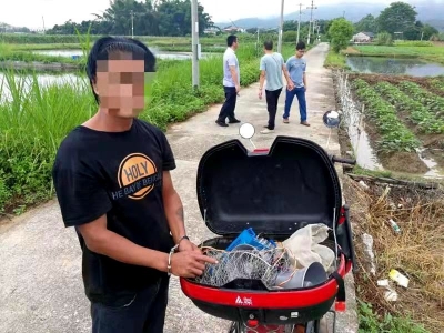 非法捕鸟，终成“笼中鸟” 