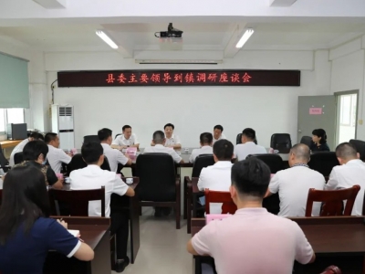 张志锋到丰顺汤南镇调研并召开座谈会