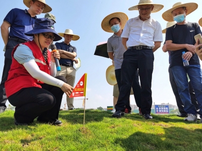 2021年梅州市红火蚁防控现场会召开：健全联防联控机制 遏制红火蚁疫情蔓延 