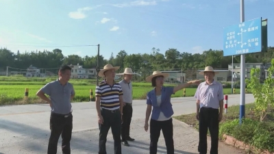 市农林科学院一行到平远长田镇开展驻镇帮镇扶村农林产业发展情况调研