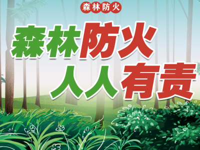 梅县区：筑牢森林防火墙 护好梅州一片绿