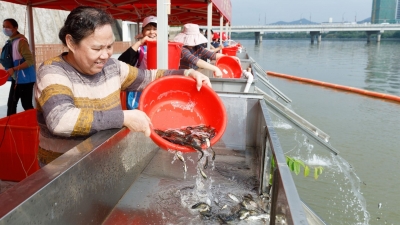200万尾淡水“精灵”流入母亲河！梅州举行增殖放流活动