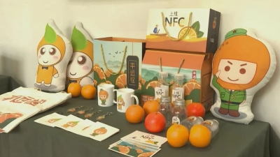 “橙趣”十足！平远这场研讨会，一起为脐橙打造“形象”！