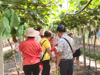 国庆假期五华旅游市场复苏明显，实现旅游收入7848万元