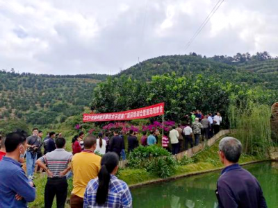 “国字号”专家来梅传经送宝！梅州柚关键技术示范推广项目培训会举行