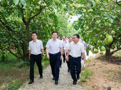 马正勇到梅县区调研文化旅游工作：集中力量打造梅州特色 推动文化生态产业化