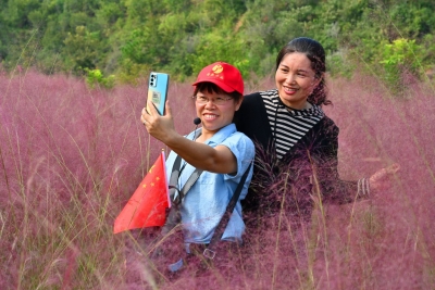 美丽家园变“美丽经济”，来看平远“蝶变记”！