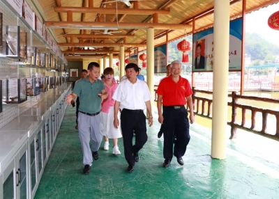 宋才华：聚焦“美”的生态，打造“高颜值”乡村