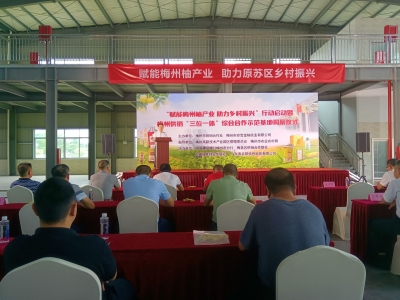 不让柚农“丰产不丰收”！“赋能梅州柚产业 助力乡村振兴”行动启动