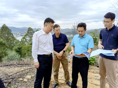 市林业局到梅县区督导森林防火责任制和林长制工作