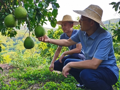 梅县区松源镇乡村振兴驻镇帮扶工作队队长康亮：建立动态监测帮扶机制 守住防止规模返贫底线  