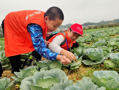 感受足球文化，体验农家生活！梅州日报社小记者走进五华县 