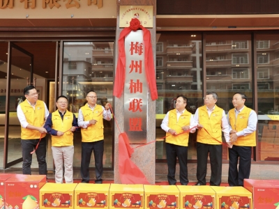 梅州柚联盟揭牌成立！以好果拓销路，以品质拼市场！