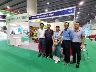 驻镇帮扶显初效！梅江区西阳镇驻镇帮镇扶村工作队助力镇域企业参加广博会