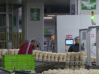 丰顺广大企业国庆假期后有序复工复产，确保完成全年生产目标