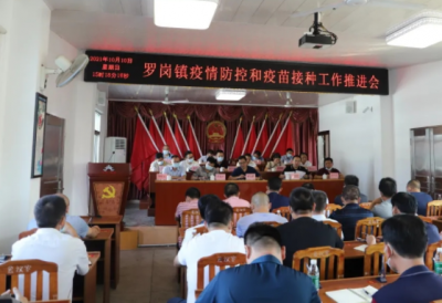 兴宁市罗岗镇多措并举筑牢疫情防控安全网