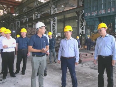 廖茂忠、周小勇到平远督查环保问题整改工作