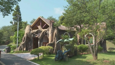 将“厕所革命”进行到底！平远累计完成无害化卫生户厕逾5万座