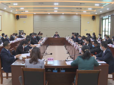 刘鸿涛参加代表团讨论：勠力同心担当作为 奋力打造老区苏区振兴高质量发展广东新样本