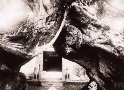 650年华城城隍庙  “榕厦”奇观