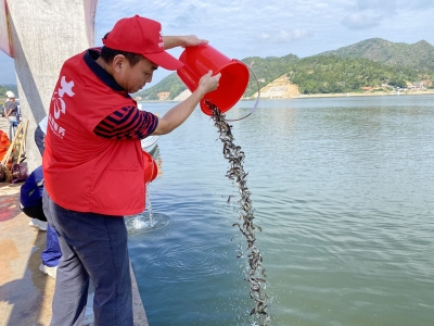 助力生态文明建设！高陂水利枢纽工程组织开展首次鱼类增殖放流活动