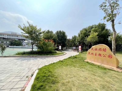 我为群众办实事丨修路、建公园...一件件实事办到群众心坎里~