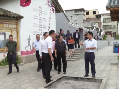 廖茂忠到平远大柘镇、石正镇调研乡村振兴、班子建设、疫情防控等工作