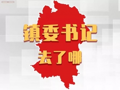 新时代新足迹——镇委书记去了哪丨平远各镇党委书记，上周在忙什么？