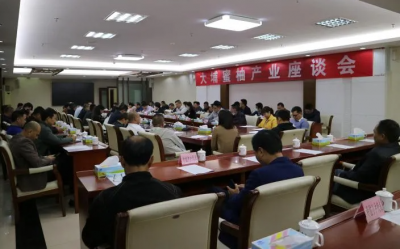 大埔蜜柚产业座谈会召开 研究部署蜜柚产业发展相关工作