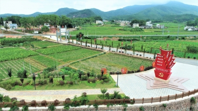 “头雁”带飞、民居“梳妆”、“引蝶”归乡...党建引领，平远这样结出“红色硕果”！