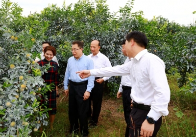 省人大常委会副主任王衍诗率队到兴宁调研：巩固脱贫成果 推进乡村振兴