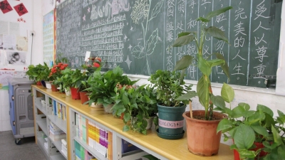 处处有“礼”、“红绿”相兼...这样的文明校园，爱了！