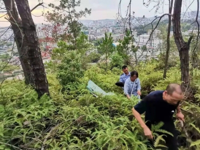险！女子独自登山迷路，五华民警历经2小时成功营救