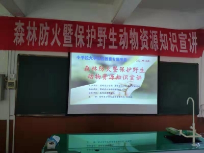 关注森林防火 保护野生动物资源！小手拉大手，他们共同守护绿水青山~