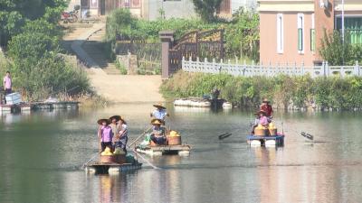 “大埔县摄影目的地”授牌！