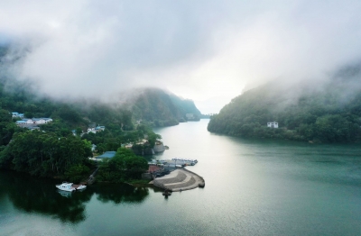 寿乡蕉岭·桂花