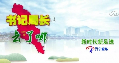 兴宁各镇党委书记、各局局长上周在忙什么？