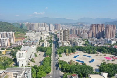 丰顺：党建引领为乡村振兴“添能续航”