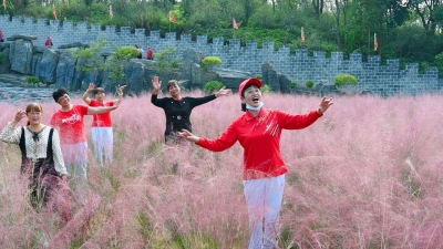 花期持续到12月~平远这片“花海”，许你一段粉红色的回忆！