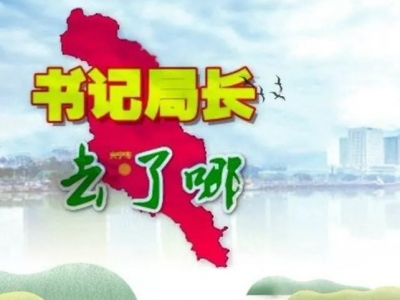 兴宁各镇党委书记、各局局长上周在忙什么？