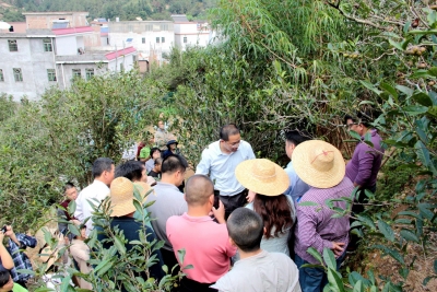 实用！他们把课堂搬到田间，手把手教茶农科学种植
